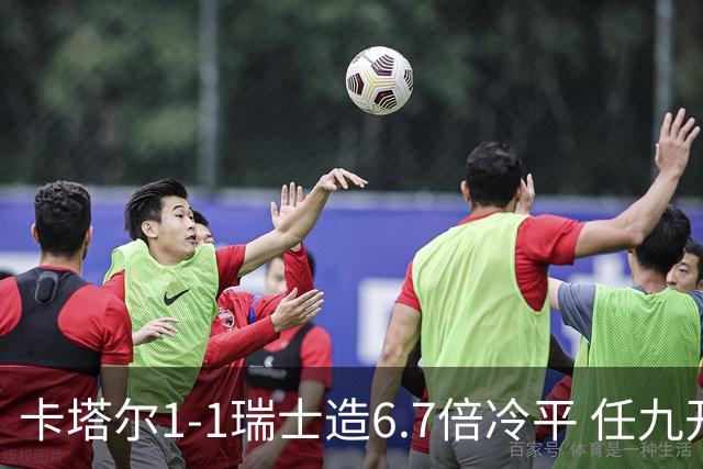 卡塔尔1-1瑞士造6.7倍冷平 任九开53注25.3万元